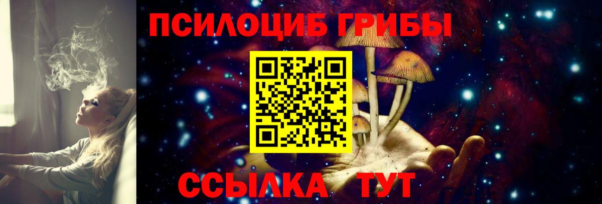 Кашира  Псилоцибиновые грибы прущие грибы  купить наркотик  Вход с VPN 